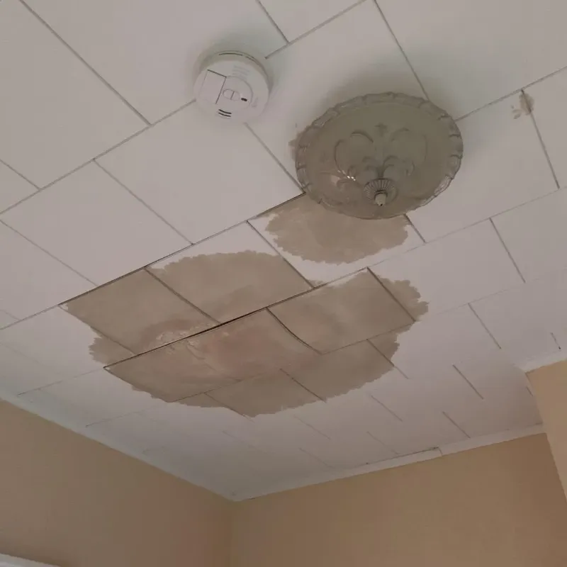 Ceiling Water Damage Repair in Olmsted Falls, OH