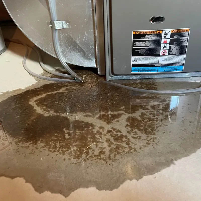 Pipe Burst and Leak Restoration in Olmsted Falls, OH
