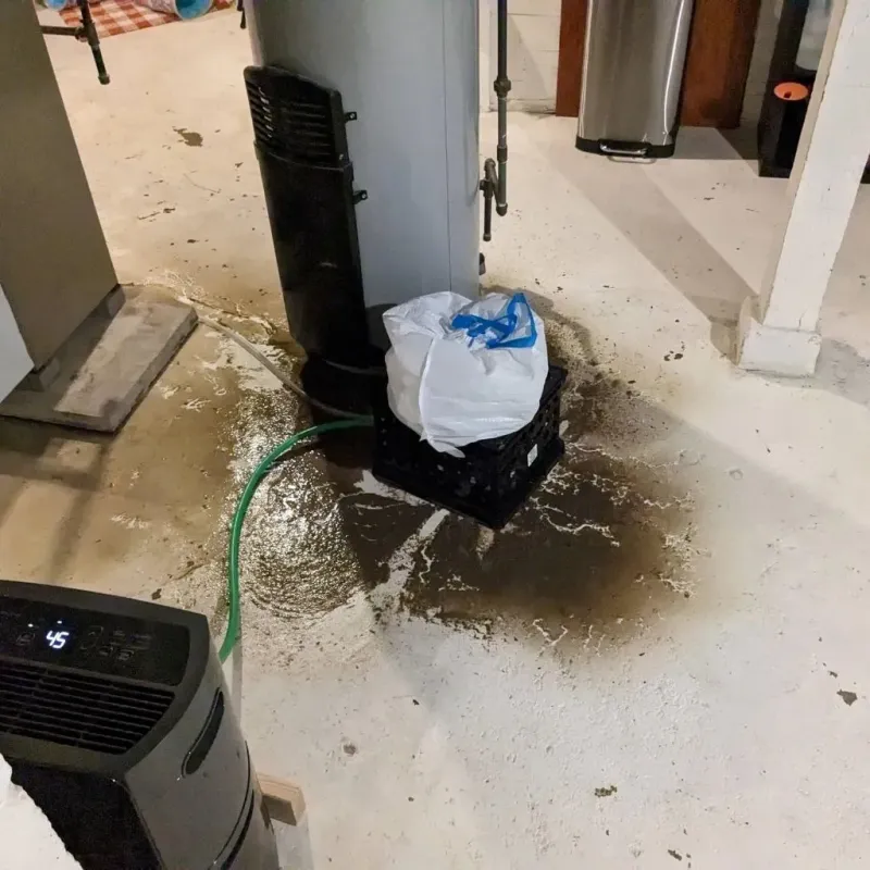 Sewage Backup Cleanup Service in Olmsted Falls, OH